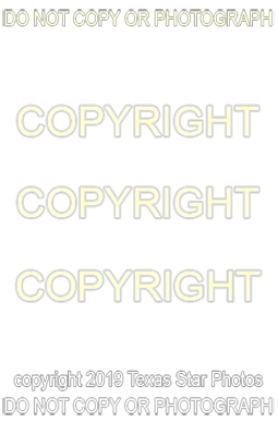 Watermark image